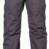 686 Infinity Insulated Cargo Pant 2022-2023 -Volcom Store 686 infinity insulated cargo pant 2022 2023 ski pro 593343870