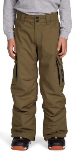 DC Youth Bansee Insulated Pants 2021-2022 -Volcom Store DC dc youth bansee insulated pants 2022 536947277 ski pro