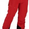 Obermeyer Force Insulated Pants Tall 2021-2022