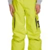 DC Youth Bansee Insulated Pants 2021-2022