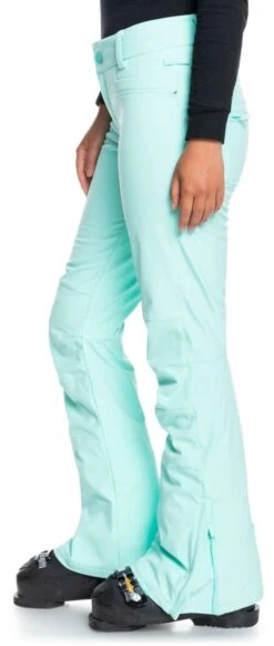 Roxy Ladies Creek Shell Pants 2021-2022 -Volcom Store roxy ladies creek shell pants 2021 2022 163750980