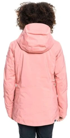 Roxy Ladies Essence Gore-Tex Stretch Jacket 2021-2022 18 Roxy Ladies Essence Gore-Tex Stretch Jacket 2021-2022 -Volcom Store roxy ladies essence gore tex stretch jacket 2021 2022 811874663