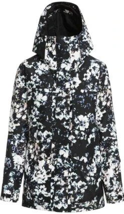 Roxy Ladies GORE-TEX Printed Jacket 2022-2023